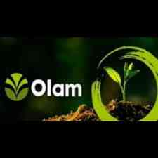 Olam Grains